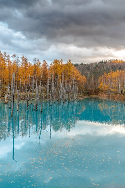Japanese temple architecture